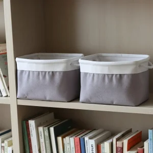 ২টি ছোট সাইজের স্টোরেজ বাস্কেট