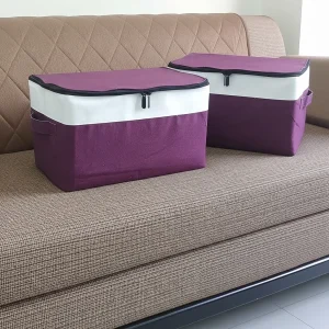 ২টি মাঝারি সাইজের ঢাকনাসহ বাস্কেট